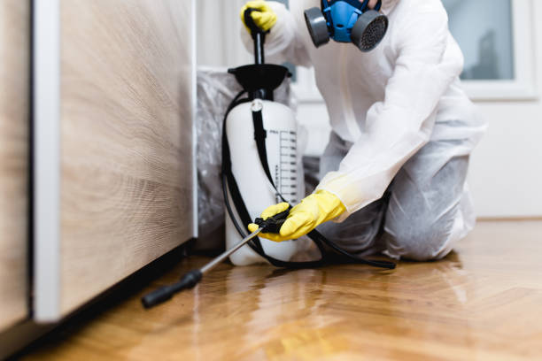 Best Flea Control Services  in Forest City, IA