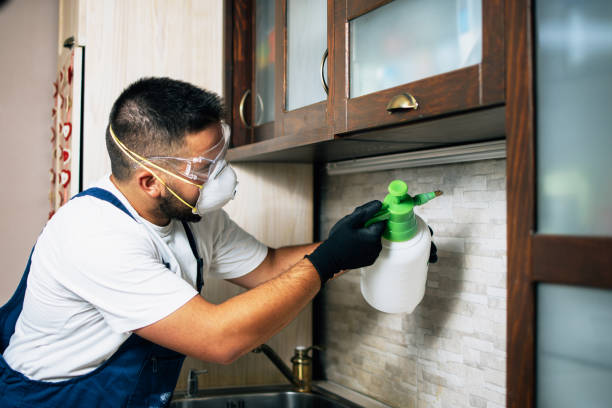Best Cockroach Control Services  in Forest City, IA