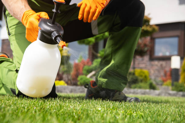Best Pest Prevention Services  in Forest City, IA