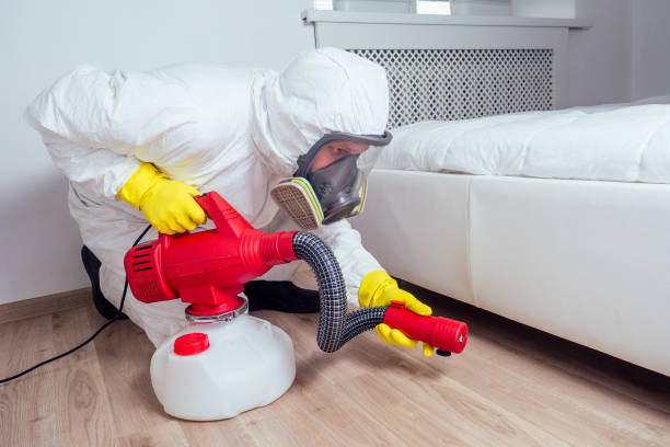 Best Rat Extermination Near Me  in Forest City, IA