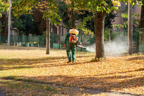 Best Pest Prevention Services  in Forest City, IA