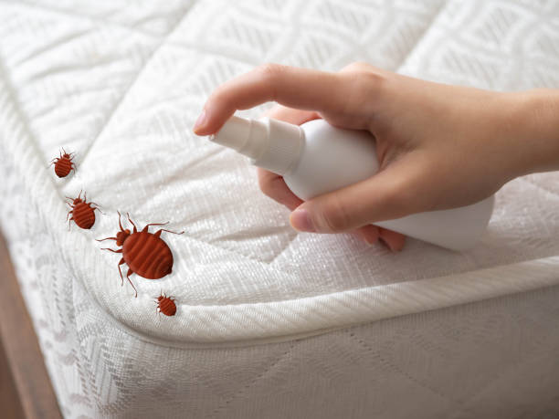 Best Affordable Pest Control Services  in Forest City, IA