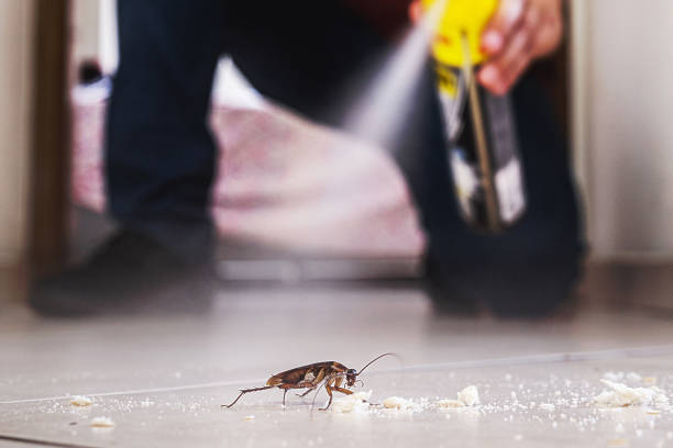 Best Residential Pest Control  in Forest City, IA
