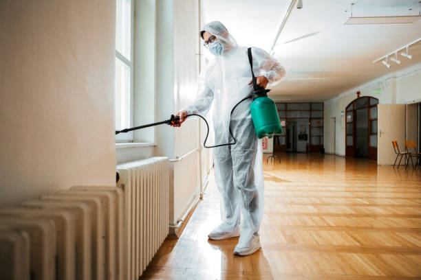 Best Wasp Removal Services  in Forest City, IA