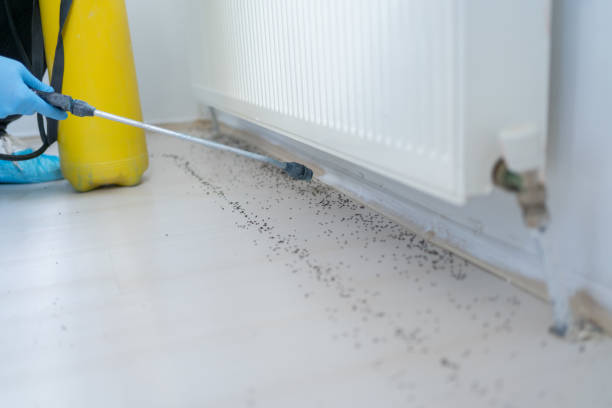 Pest Prevention Services in Forest City, IA