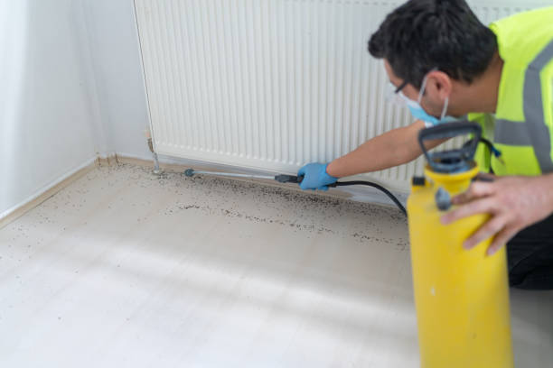 Best Affordable Pest Control Services  in Forest City, IA